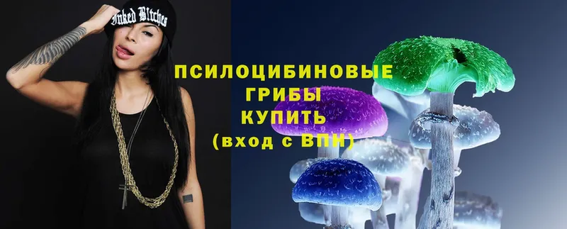 Псилоцибиновые грибы Magic Shrooms  blacksprut как войти  Красный Холм 